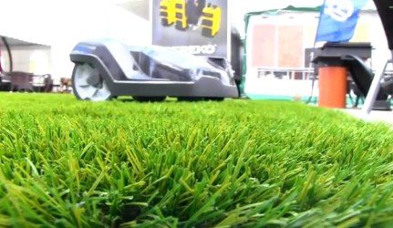 SVAJONIŲ VEJOS – kviečia juos aplankyti parodoje