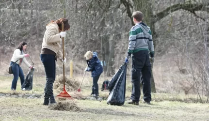 „Darom!“, – sako aplinkosaugininkai