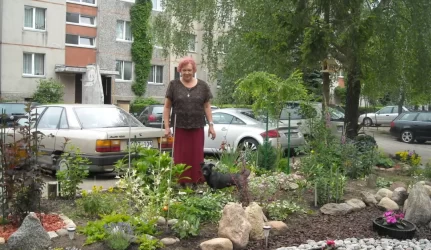 Daugiabučio namo sodas