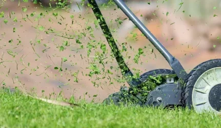 Augalų tręšimas nupjauta žole