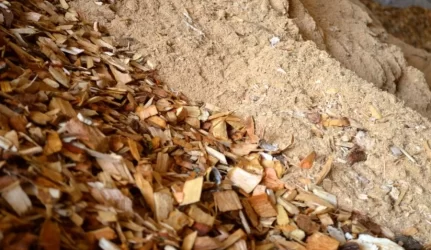 Griežtinama radiologinė įvežamo kietojo biokuro kontrolė