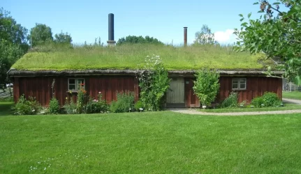 žalias stogas
