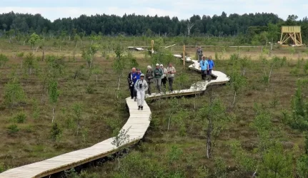 Paslaptingąją Aukštumalos pelkę galėsite perbristi nesušlapę kojų