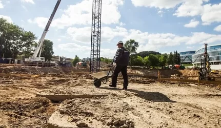 Už statybų metu sužalotus medžius teks pakloti tūkstantinę sumą