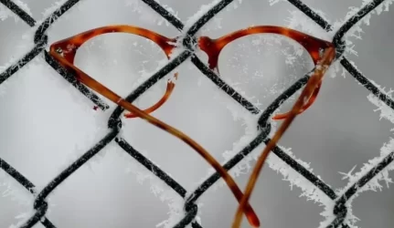 Vienas dažniausių gyventojų klausimų – apie tvoras