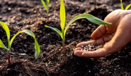 Reikalavimai kompostui – pagal mokslininkų siūlymus