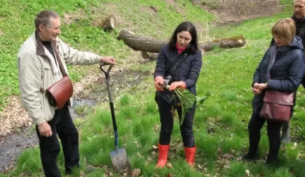 Seminaras apie Sosnovskio barščio naikinimą