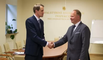 valstybės energetikos inspekcijos vadovas