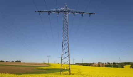 Vyriausybė pritarė vienkartinių kompensacijų už elektros tinklų ar kitų įrenginių servitutus skyrimo tvarkai