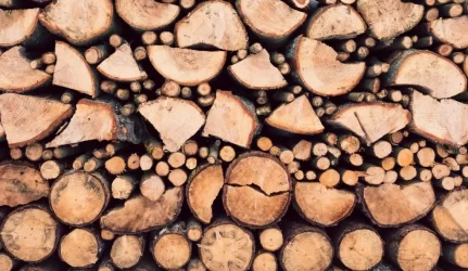 Pigiau įsigyti malkinės medienos – tiesiai iš girininkijų