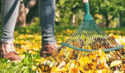 Pavasarinis sodo tvarkymas