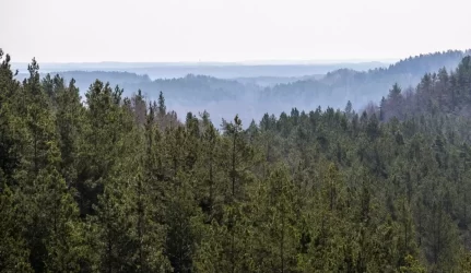 Lietuva 2030-aisiais – atsinaujinančių energijos šaltinių lyderė