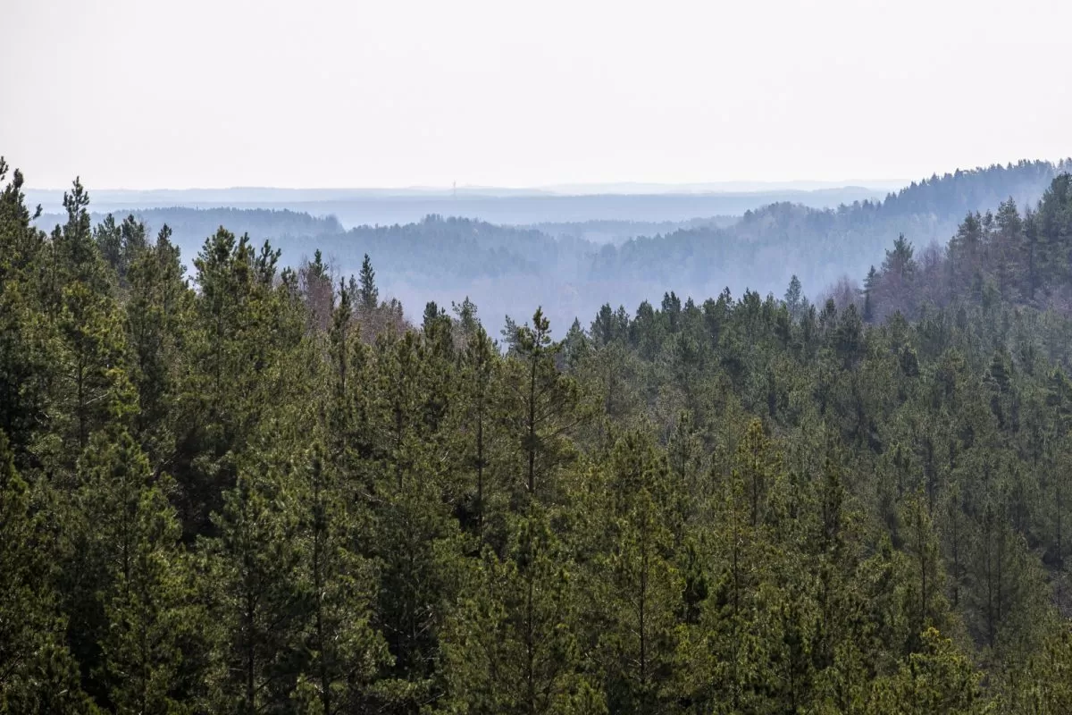 Lietuva 2030-aisiais – atsinaujinančių energijos šaltinių lyderė