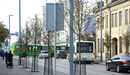 Šiaulių architektai pateikė nuomonę dėl naujų medelių