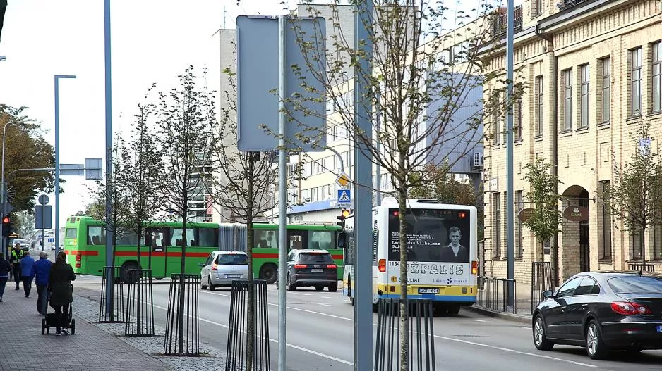 Šiaulių architektai pateikė nuomonę dėl naujų medelių