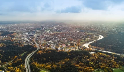 miesto miškų valdymas