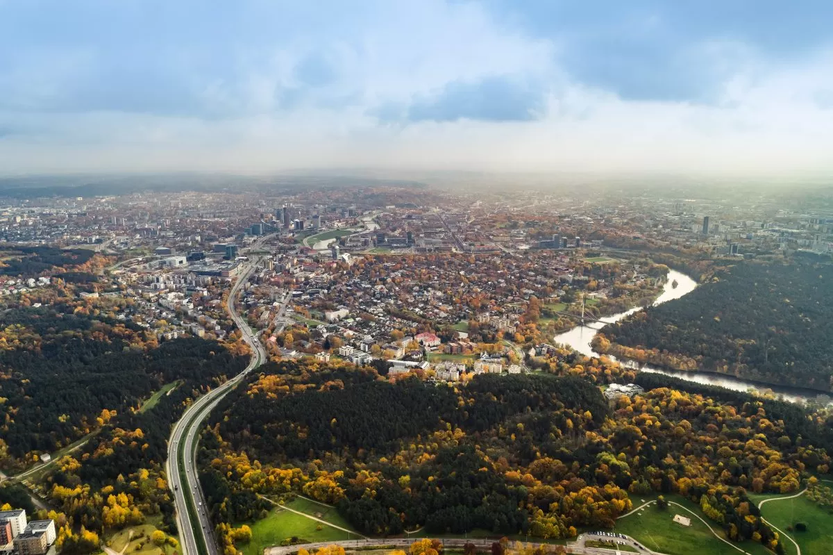 miesto miškų valdymas