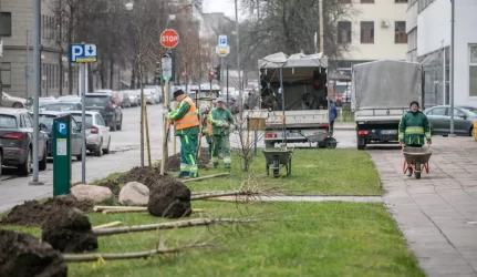 Šį pavasarį Vilniuje sodinama daugiau kaip 1000 medžių