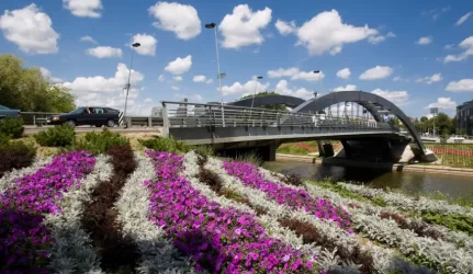 Bus atestuojami želdynų projektų rengimo vadovai