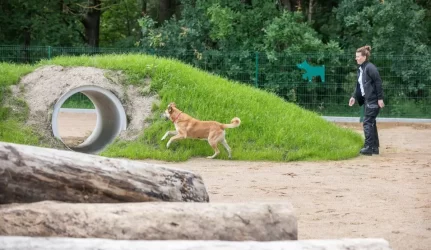 Vilniuje – modernios gyvūnų vedžiojimo aikštelės
