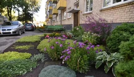 Išrinkti gražiausiai tvarkomos aplinkos konkurso laimėtojai