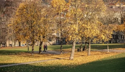 Lapkritis Vilniuje: išvežami tūkstančiai tonų lapų, saugiai tvarkytis kiemus kviečiami ir gyventojai