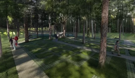 Menininkų kalnelio tvarkymo vizija