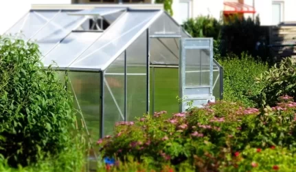 Šiltnamis – statinys ar ne?