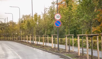 Žaliuosius miesto „plaučius“ Kaune papildys šimtai medžių