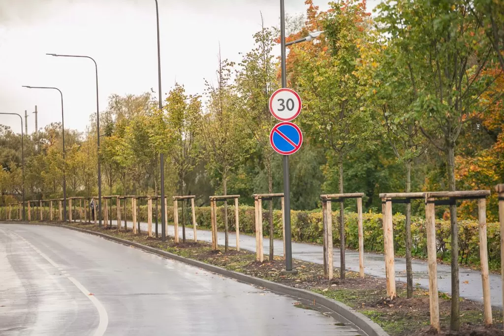 Žaliuosius miesto „plaučius“ Kaune papildys šimtai medžių