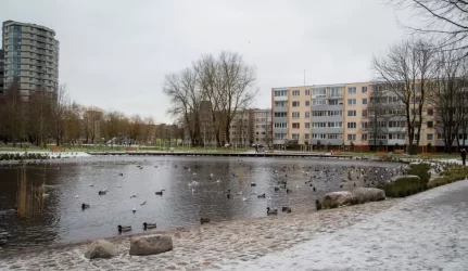 Baigtas Ąžuolyno giraitės sutvarkymas