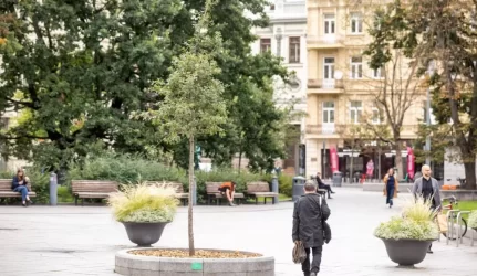Apsodinkime Vilnių: kurti žaliąsias erdves gali kiekvienas