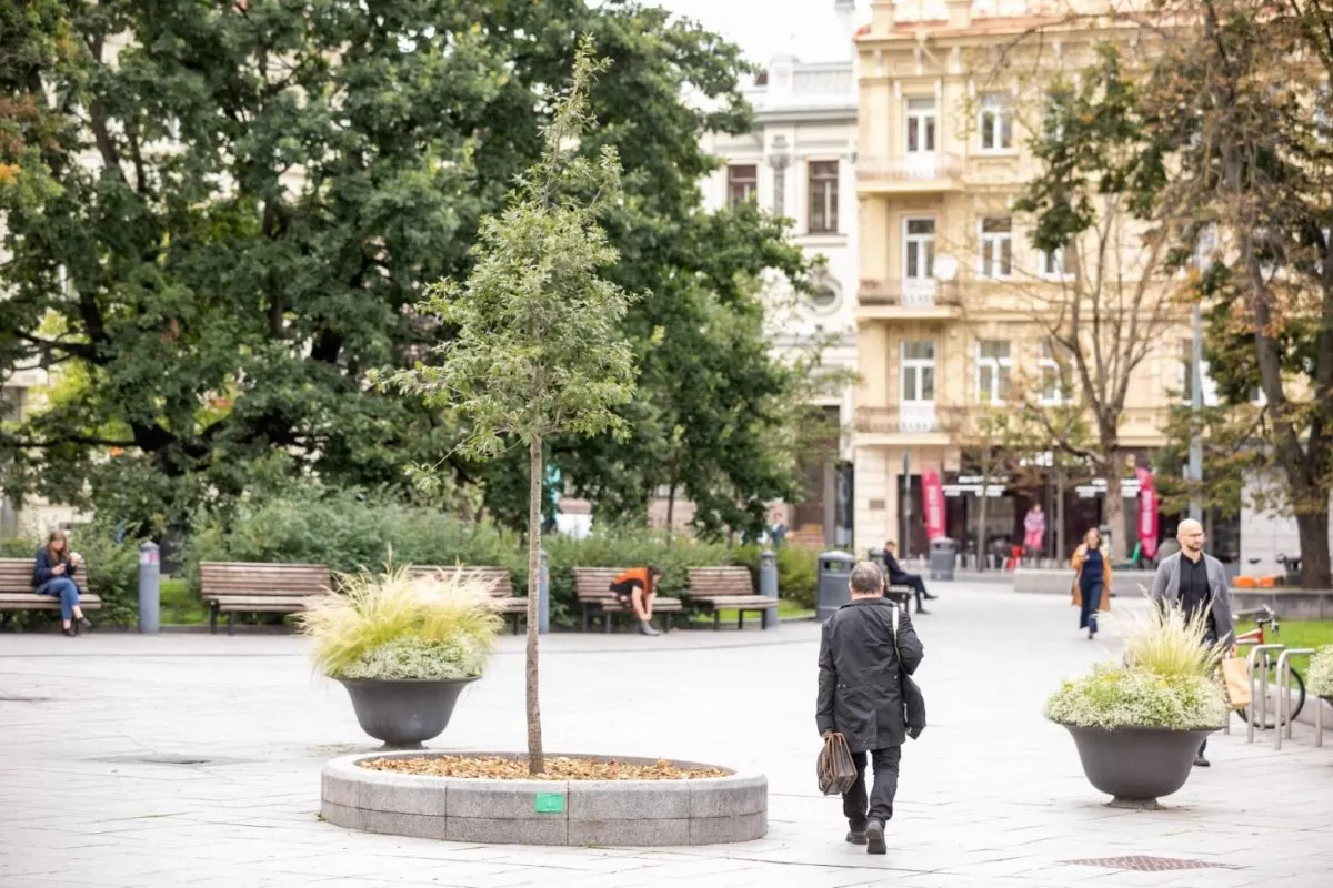 Apsodinkime Vilnių: kurti žaliąsias erdves gali kiekvienas