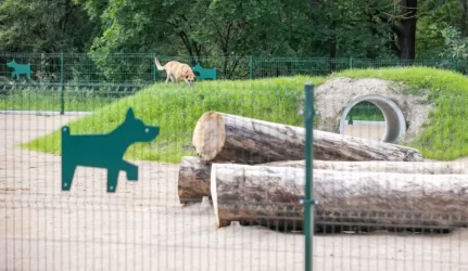 Keturkojų džiaugsmui Vilniuje – 2 naujos ir 2 renovuotos vedžiojimo aikštelės