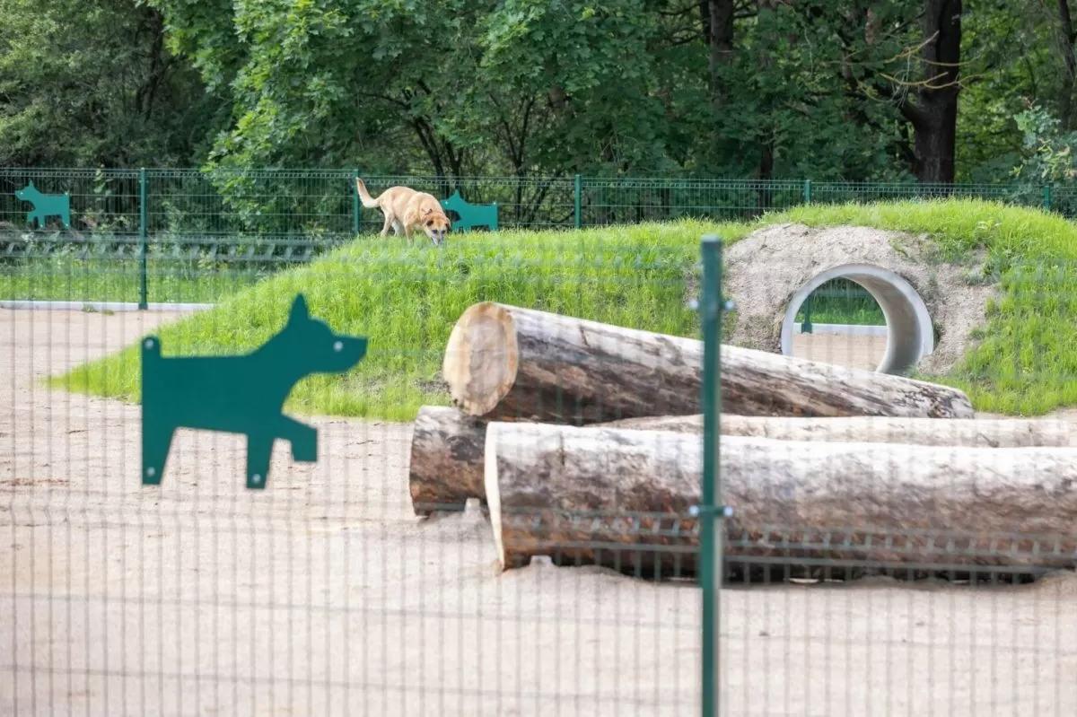 Keturkojų džiaugsmui Vilniuje – 2 naujos ir 2 renovuotos vedžiojimo aikštelės