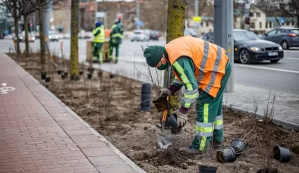 Metalines tvoras Vilniuje pakeis tūkstančiai krūmų