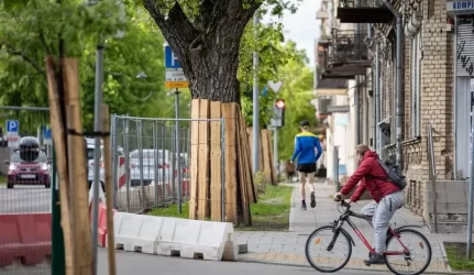 Naujamiestyje – 2 kilometrai naujų dviračių takų, atnaujinami pėsčiųjų takai