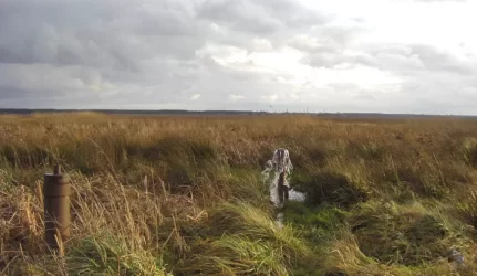 Požeminio vandens kokybė gera, bet taršos cheminėmis medžiagomis pavojus išlieka