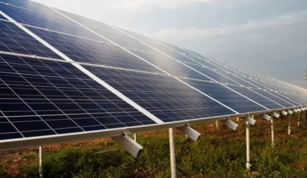 Skelbiamas viešasis pirkimas gaminančių vartotojų studijai atlikti