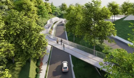 Tauro kalnas tvarkomas tausojant senuosius želdinius