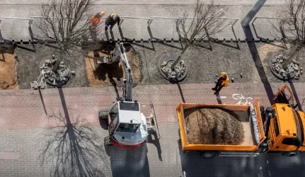 Žaliąsias alėjas Vilnius gina ir sankcijomis rangovams