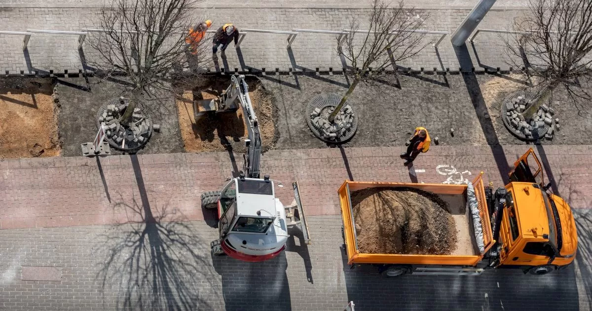 Žaliąsias alėjas Vilnius gina ir sankcijomis rangovams