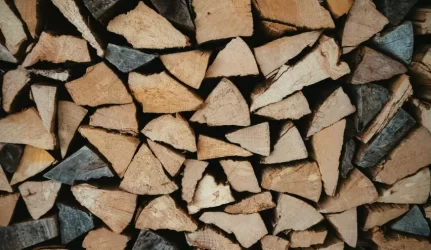 Lietuvos biokuro rinkos skaitmenizacijos patirtis – ukrainiečiams