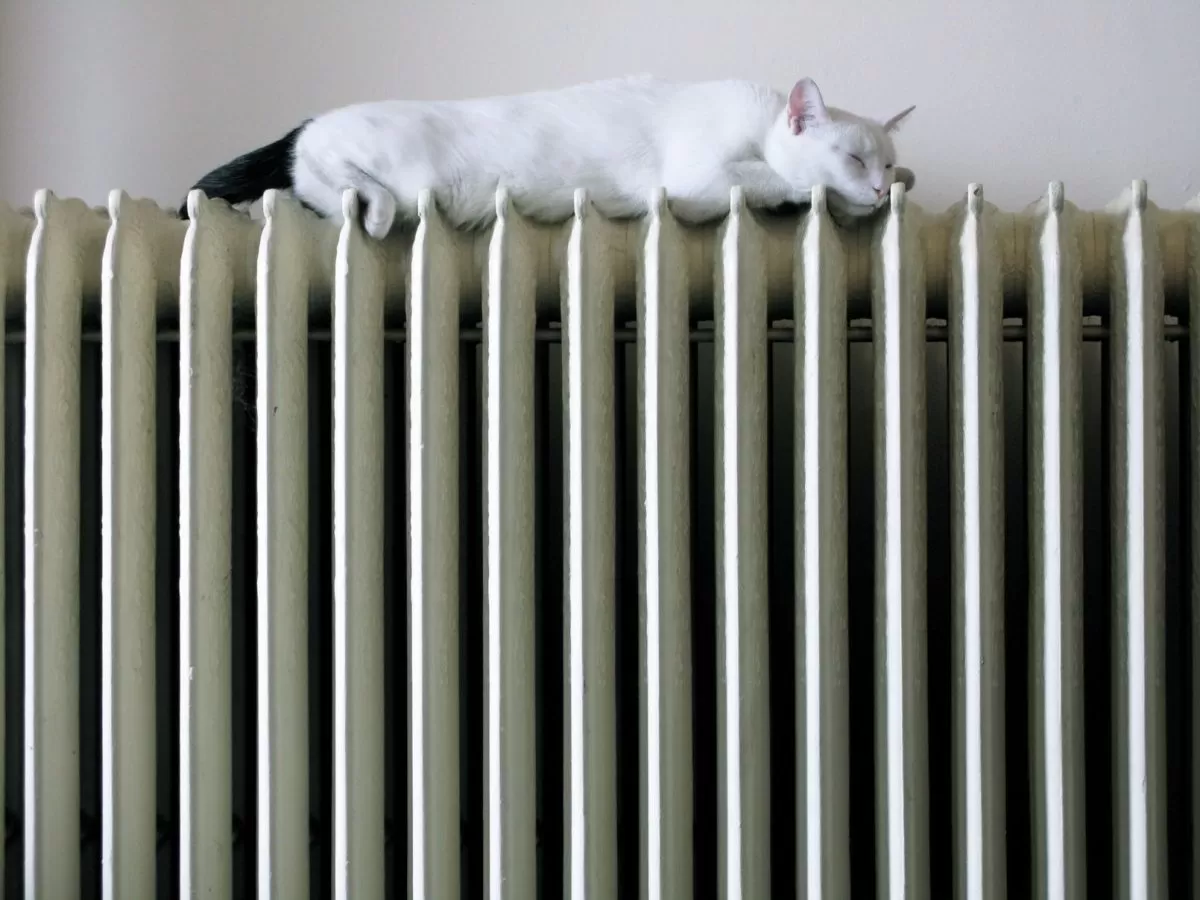 Energetikos ministerija pateikė siūlymus dėl artėjančio šildymo sezono kainų