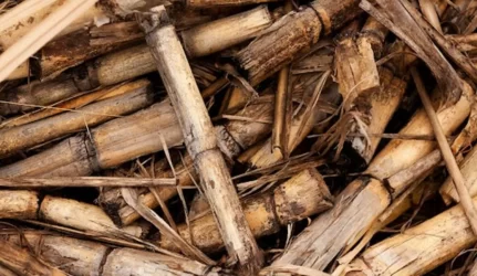 Šildymo kainoms sušvelninti bus aktyviau surenkami medienos likučiai biokurui