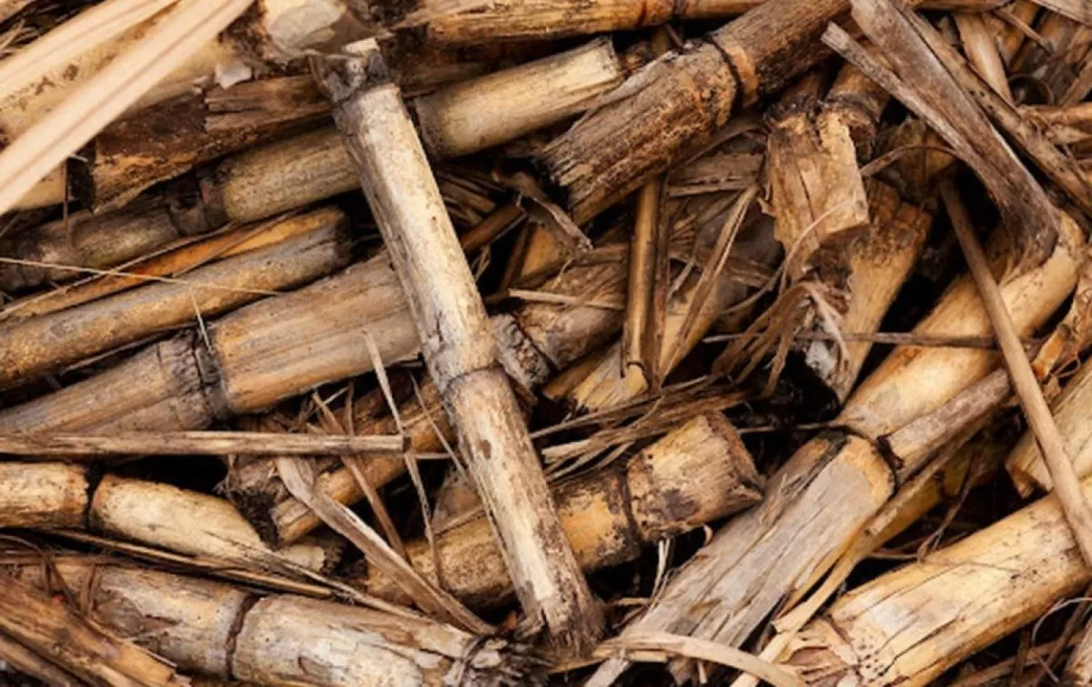 Šildymo kainoms sušvelninti bus aktyviau surenkami medienos likučiai biokurui