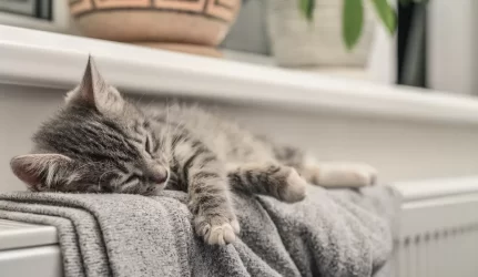 Kaune pradedamas šildymo sezonas