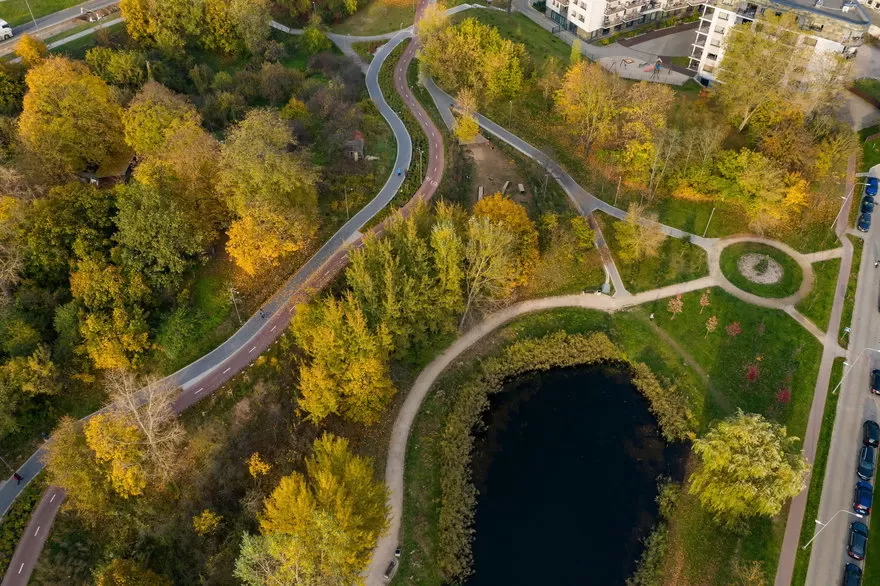 Nuo lapkričio 1 dienos Vilniuje sugriežtinus taisykles – daugiau apsaugos želdiniams