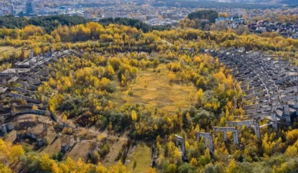 Vilniaus savivaldybė išsaugos 150 savaiminukų, augančių Daugiafunkcio komplekso teritorijoje