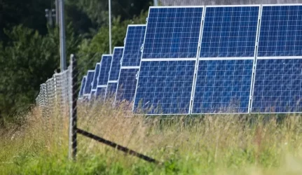 D. Kreivys: „Skatindami gyventojus investuoti į žaliąją energetiką, siūlome ne žuvį, bet meškerę“